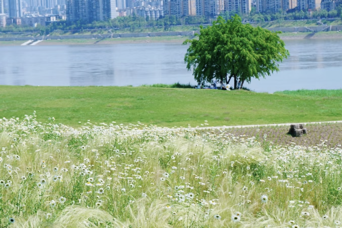 Lanjiang Park